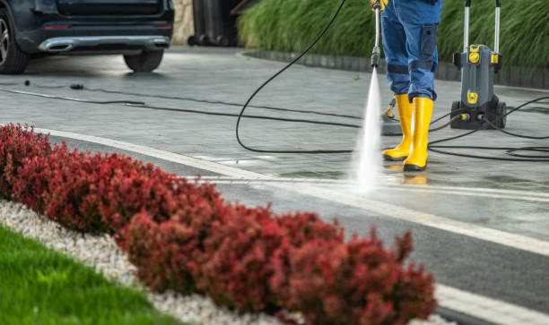 Best Exterior Home Cleaning  in New Sarpy, LA